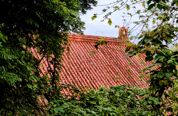 Tiled roof behind greenery.