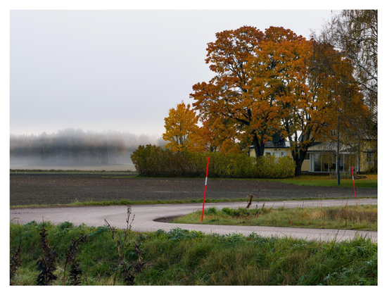 En liggande bild på en gult trähus med två stora träd med orangea löv, några mindre träd och buskar. En asfalterad väg kommer från höger i bild och svänger ur bild till höger. Dimma ligger längre bort över åkern.