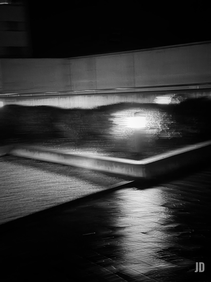 Fotografía desenfocada en blanco y negro de una zona ajardinada por la noche. Un punto de luz se refleja en el pavimento. 