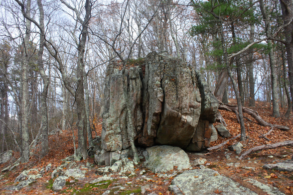 A photo of a beautiful limestone outcropping. Steely gray stones with light colored lichen can be seen on the ground. Mostly bare trees surround the limestone boulder.