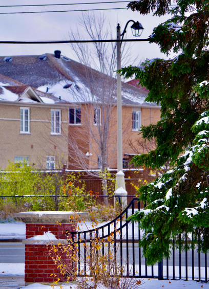 Autumn's Winter colours on trees and bushes on streets near posts for light, fences, and houses after a snowfall.
