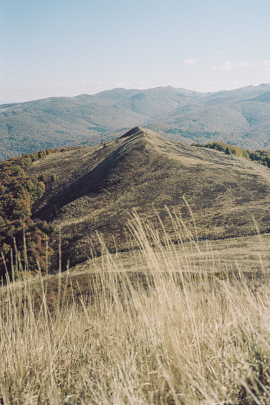 A grassy hill with groups of trees visible on the left and right, with blurred grass in the foreground.