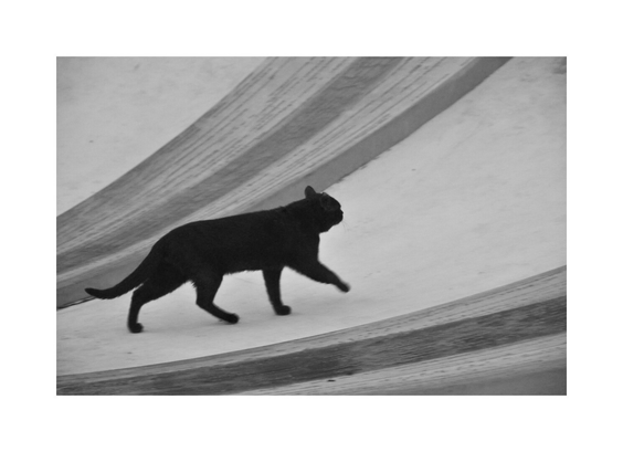 A horizontal, black and white photograph of a solid black cat in profile, walking up a curving ramp or architectural structure. The cat is positioned on the left side of the frame, moving toward the right. The structure has a smooth, light-colored surface with two parallel, darker, textured bands visible on the left and center-top. The background is simple and bright, creating a high-contrast silhouette of the animal.