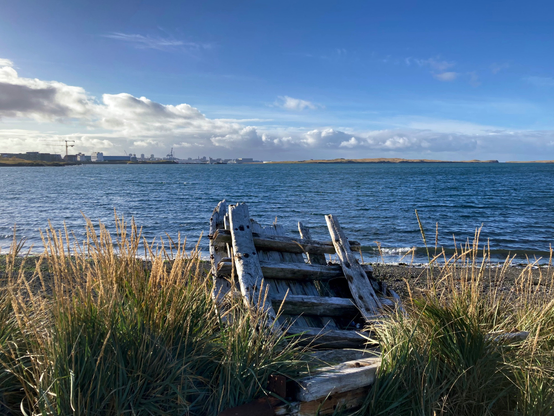 A small part of a wooden boat on the shore surrounded by tall grass.
