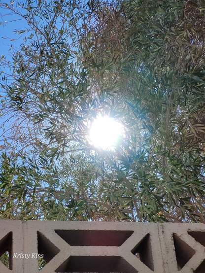 Beautiful sunny day hike.