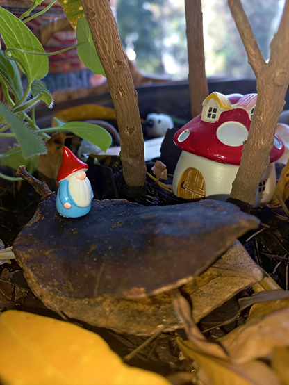 Photograph by J. Ruido