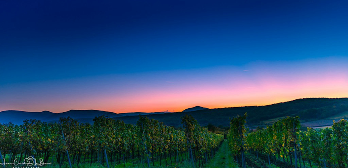 La ligne rose des Vosges