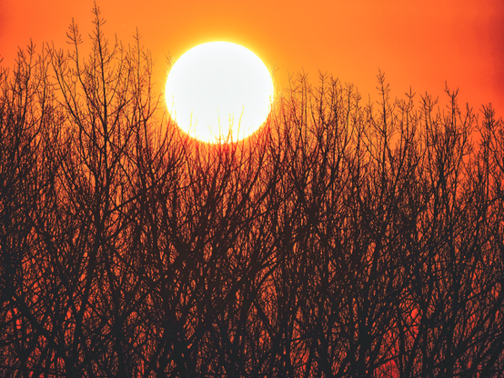 A vibrant sunset illuminates the sky in shades of orange and red, partially obscured by silhouetted, leafless branches in the foreground.
