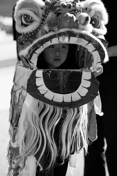 This is a black and white street photo in landscape format of a young Chinese girl in a Dragon dance costume. Chinatown, LA (2014).

Dominating most of the image is a small Dragon dance costume with the face of a young Chinese girl visible inside the Dragon's gaping mouth. The costume really is only the Dragon's head. On the top are two large staring eyes on the sides of the head surrounded by vast amounts of fluffy  eyebrows, I'm sure there is a nose but it's not apparent. Below the eyes is a large and wide mouth with many white teeth on the upper and lower jaws. Below are long strands of white hair, perhaps our Dragon has a beard? 

The young Dragon is waiting for the Chinese New Year Parade to start on the small hill above LA's Chinatown, California.