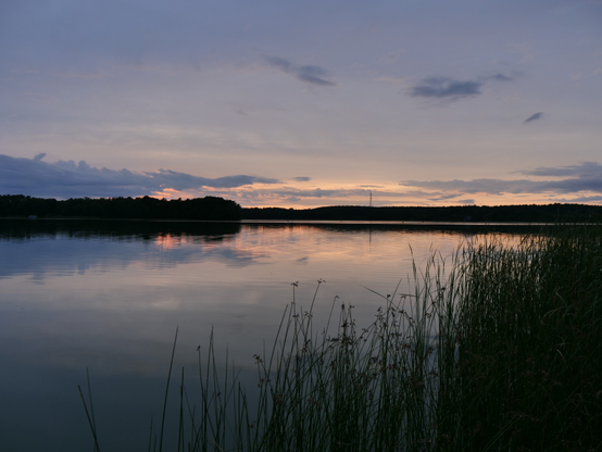 Ein ruhiger See bei Sonnenuntergang, umgeben von Bäumen und hohen Gräsern im Vordergrund.