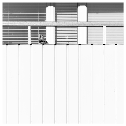 En svartvit fyrkantig bild på en vit balkong med persienner neddragna. På balkongens kant vilar ett par nakna fötter i kors.