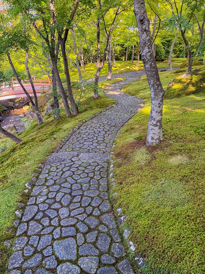 The Hakone Museum of Art has a beautiful collection of ceramics and a really astonishing garden. A path meanders through the garden