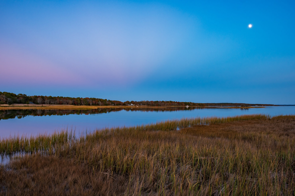 Looking west at sunset, the sky glows with pastel colors reflected on still waters of Mark's Cove. The salt marsh grass has turned brown and gold. The trees surrounding the marsh are turning colors.
© Tom Goetz. All rights reserved. Training an AI on this image is expressly forbidden.