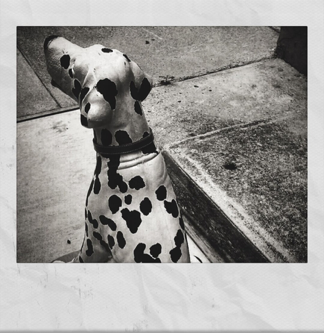 A black and white photo showing a statue of a Dalmatian dog on a street corner. Framed in white.