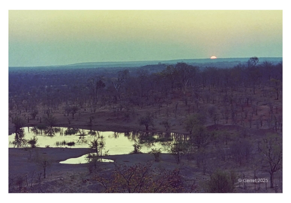 Sunset over a vast savannah landscape, the sky tinged with soft blues and oranges. Silhouetted trees and a reflective watering hole create a tranquil scene.