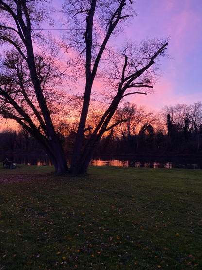 A scene at sunset near a river.
In the foreground there stands a tree with no real trunk but many main branches coming straight out of the gound.
The tree - which has no more leaves and only a silhouette can be seen - is growing on a meadow covered with its leaves.
Behind the tree there‘s a river reflecting the pink-blue-purple-red-orange-blue sky and the shadows of the trees growing on the other shore.
Beyond the river there are the silhouettes of more trees standing on the shore.
On the left edge of the picture there‘s a bench with people sitting on it (in the distance).
The sky is glowing in various colours ranging from deep purple to bright orange and a rest of blue of the afternoon.