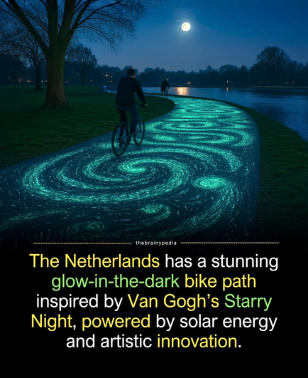 A stunning glow-in-the-dark bike path inspired by Van Gogh's Starry Night, powered by solar energy & artistic innovation.   Thousands of photoluminescent stones absorb sunlight during the day & emit a soft glow at night - creating a swirling pattern.