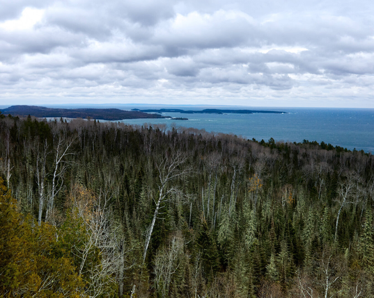 A view of a dense forest of tall trees stretching to the horizon. The forest meets a vast lake under a cloudy sky. The clouds are thick and grey, hinting at a possible storm. The scene conveys a sense of solitude and the power of nature.