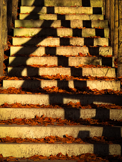 A concrete outdoor staircase partially covered in fallen autumn leaves. The stairs are dramatically lit by low, late-day sunlight.

Strong, repeating vertical shadows from the railings, fall across the steps, creating a striking pattern of alternating light and dark bands.