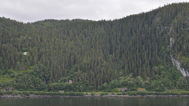 A photo of a steep hillside covered in conifer forest down to a shore. There are a couple houses on the hillside. The sky is overcast.