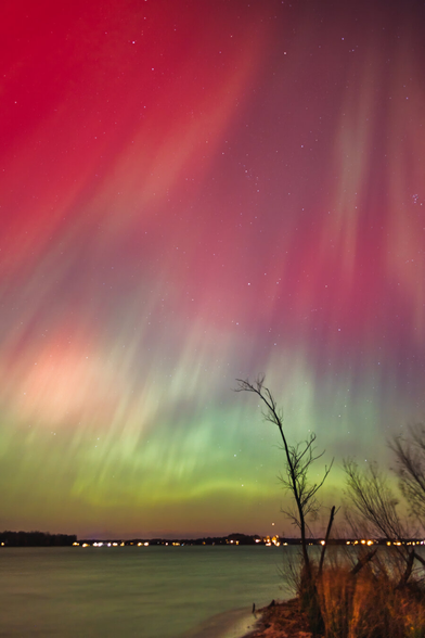 Red and green aurora curtains ripple above a calm Minnesota lake at night. A thin tree leans toward the glowing horizon, while faint lights from distant houses reflect softly on the water