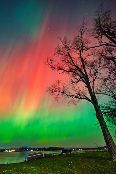 Striped bands of green and red aurora stretch vertically over a lakeshore framed by trees. The grass and water below appear still, contrasting with the vibrant, shifting sky above.