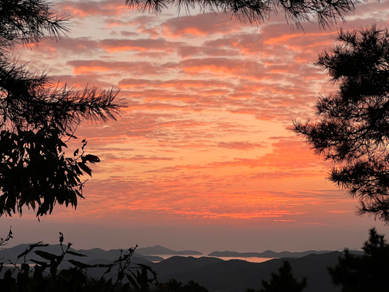 A sunset view framed by tree branches, featuring colorful clouds in shades of orange and pink over a landscape of rolling hills and the Yellow Sea in the distance. (Chungnam Province, South Korea) 