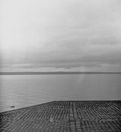 A black-and-white photo. In the foreground is a part of the cobblestone embankment. In the middle is a stretch of the calm Lake Onega. In the background is a dark stretch of the opposite shore. The sky above the lake is covered with low clouds. A duck is swimming to the left.