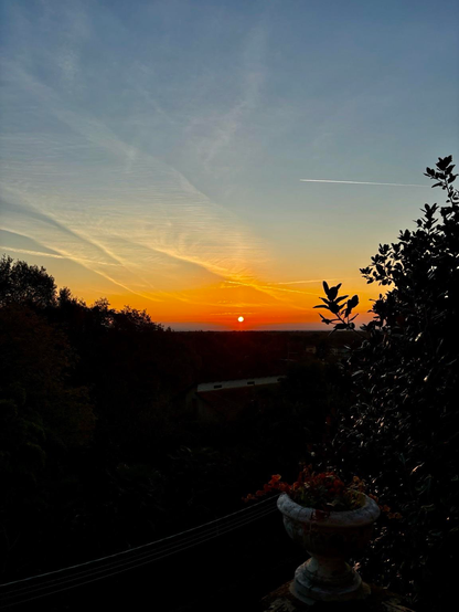 A sunrise view is captured, featuring vibrant orange and yellow hues in the sky with silhouetted trees and a decorative pot in the foreground. The sun sits low on the horizon, creating a tranquil atmosphere.