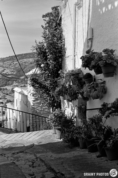 A narrow sunlit alley in Capileira with potted plants lining a whitewashed wall, overlooking a hilly landscape. The scene has a rustic, Mediterranean feel, and the image is in black and white.