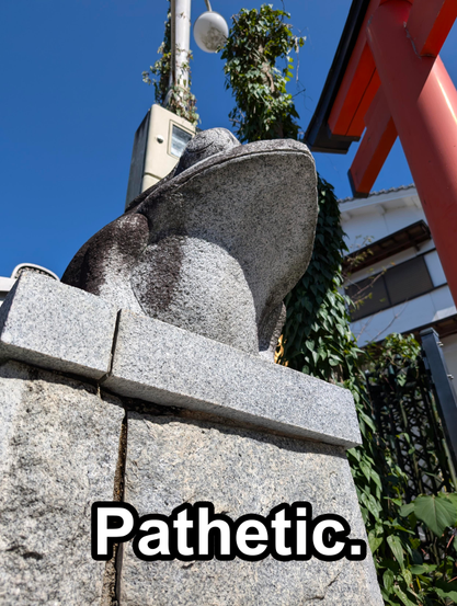 Photographed from a low angle, a stone frog statue towers over the viewer, as if it's judging them. At the bottom of the photo the text "Pathetic." is overlaid, to recreate the Simpsons meme, where Principal Skinner looks down on someone the same way, saying "Pathetic"