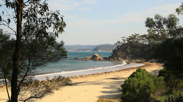 A sandy beach and blue sea on a sunny day, with hills and headlands in the distance. The view is framed by trees and shrubs.