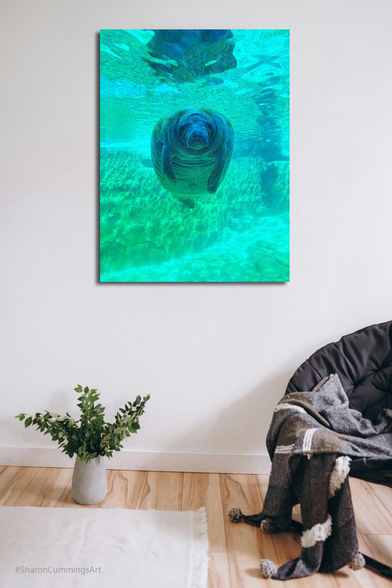 Blue floating manatee animal in the water by artist Sharon Cummings.  In a furniture setting.