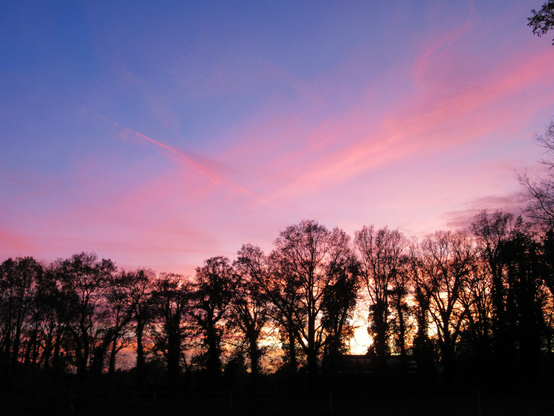 Der Sonnenuntergang lässt den Himmel bunt werden. Von gelb und orange über blass-pink bis blau. Vor dem Schauspiel die Silhouetten von fast kahlen Bäumen.
