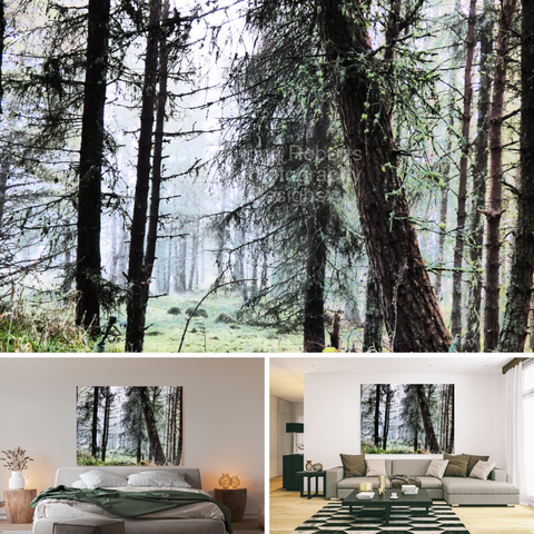 Above coloured photograph featuring the design- 

Scottish Highlands Misty Morning Pine Forest. 

Lower left design on a Canvas Print on a wall above a bed. 

Lower right design on a Canvas Print on a wall  above a couch.  

I took this photo using a creative photographic filter, during a particularly misty autumnal morning in the Scottish Highlands.

Features a serene Pine forest surrounded by mist. 

The light filters through the branches, creating a tranquil atmosphere. 

Mockups combined in a grid format in canva.com

Click links on the main post for options.
