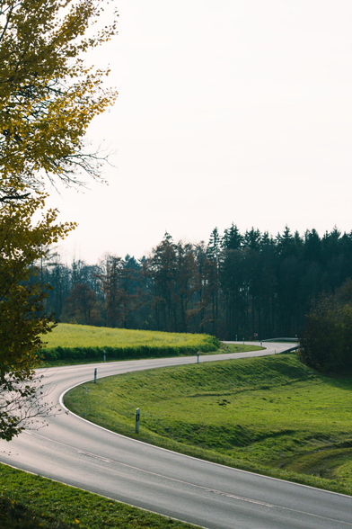 Curved country road with green grass on both sides and a forest in the background.