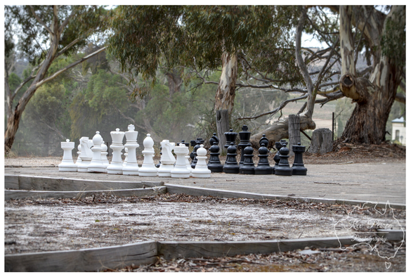A wide, slightly low angle shot of a giant outdoor chess set with all the white and black pieces lined up facing each other, as if ready for the start of a game.

The setting is rustic and natural, possibly a park or bushland area, with dry earth, low wooden borders in the foreground, and large, gnarled gum trees and thick foliage in the background.