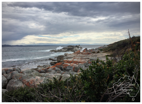 A photograph of a rugged coastline under a dramatic, cloudy sky.

Large grey boulders covered in bright orange lichen line the shore and lead out into the ocean where waves crash against them.

Coastal scrub and green foliage frame the right and bottom foreground.