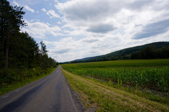 A road fills the bottom left half the image but shrinks into the horizon with evergreen trees on the left and a cornfield on the right with a hill in the distance making a diagonal line with cumulus clouds