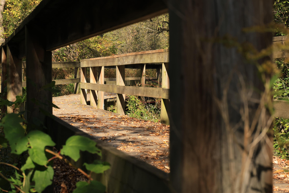 This is a photo taken through a rectangular space in the railing of a wooden footbridge that forms part of a trail passing through a forested area. The floor surface of the footbridge can be seen through the opening as well as the wooden handrail on the opposite side. Fallen leaves can be seen on the wooden boards as well as some shadows on this sunny day.  The bridge angles at about a forty-five degree angle to the right just ahead.  The structure is very solid with the uprights for the railing being 6" x 6" posts. The photo was taken for a bit of fun.