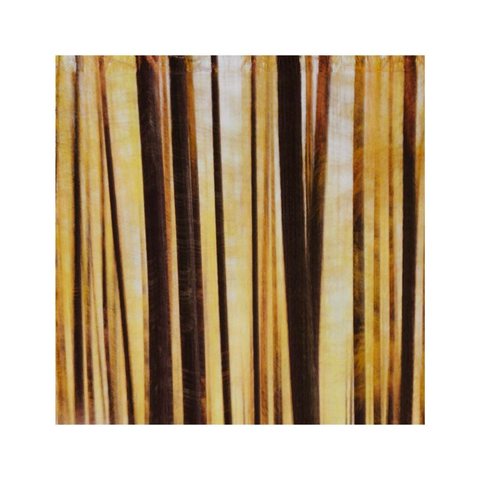 an intentionally blurry view of some tree trunks. the larch trees are golden but there are no details left. the image has an almost abstract feel to it consisting of dark and yellow patterns