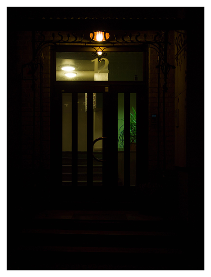 En stående bild på en dörr/port i mörkret. En oval lampa sitter ovanför dörren. På glaset ovanför dörrarna står 12 och ljuset innanför lyser upp en grön växt till höger och postlådor till vänster.