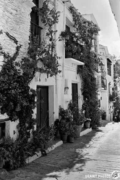 A black and white photo of a narrow street in Capileira, lined with whitewashed buildings covered in leafy vines and potted plants. Shuttered windows and doors add charm to the vintage, grainy texture.