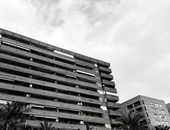 Imagen en blanco y negro de varios edificios residenciales altos bajo un cielo nublado, tomada desde un ángulo bajo. Un gran edificio de apartamentos de ladrillo oscuro ocupa la mayor parte de la izquierda, con múltiples pisos que presentan balcones largos y continuos. Muchos de estos balcones tienen toldos blancos desplegados, algunos parcial o totalmente. A la derecha, más atrás, se vislumbra otro edificio de ladrillo, más pequeño y cuadrado, con una cuadrícula de ventanas. En la parte inferior, las copas de varias palmeras oscuras se asoman, ocultando parcialmente las plantas bajas de los edificios.