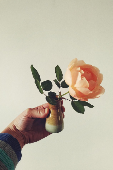 A vertical colour photograph of my hand holding up a small brown ceramic vase against a white wall. In the vase is an orangey pinkish pale rose. The rose leans to the  right, their head wide open.