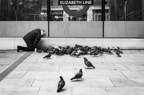 The image is a black and white photograph. The composition is primarily focused on a group of pigeons gathered on a tiled surface.

The central figure is a person kneeling on one knee and leaning forward, seemingly interacting with the pigeons. Their head is close to the ground, possibly feeding the birds. The person is wearing dark clothing, which contrasts with their light-colored hair.

A large flock of pigeons is concentrated in the center of the frame, some actively feeding, others moving about. Several pigeons are scattered around the periphery of the flock, some standing, some walking.