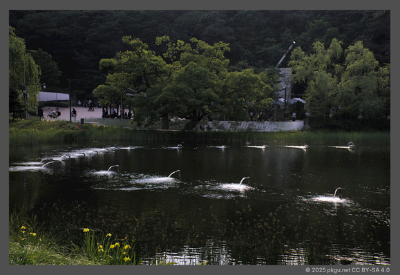 Boramae park, Seoul, Korea.
