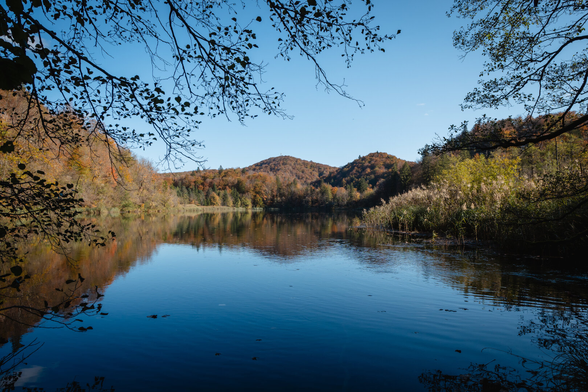A calm lake among golden trees, it is sunny, you can see the autumn weather. There are branches that make a frame.