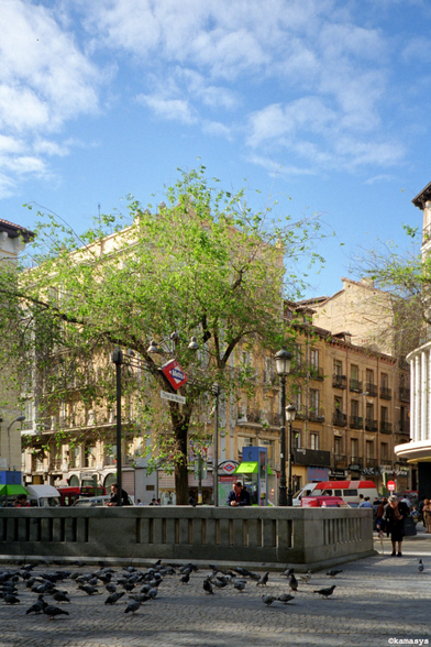 Madrid – Plaza de Tirso de Molina