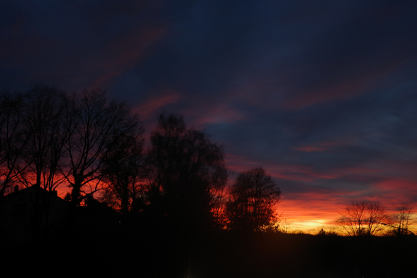 Against a deep blue sky covered with pink to almost purple clouds and an area burning in pink, red, orange and yellow above the horizon, the silhouettes of several large trees and the pointed roof of a house stand out.